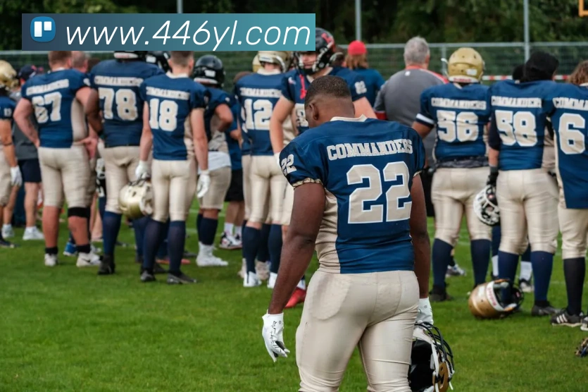 多媒体互动体验